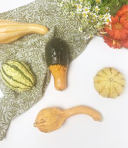 DIY-Montessori-Gourd-Baby-Rattles-1