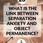 The Link Between Object Permanence and Separation Anxiety in